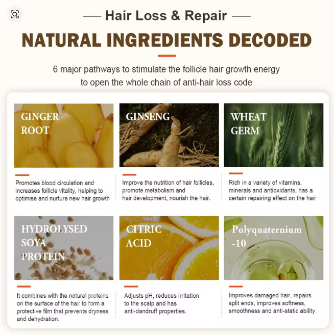 شامبو الشعر بالزنجبيل يمنع تساقط الشعر - Image 3