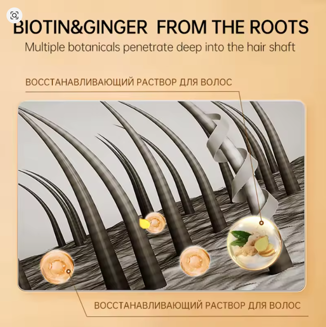 شامبو الشعر بالزنجبيل يمنع تساقط الشعر - Image 5